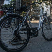 фото из отзыва ID 1008355