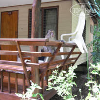 фото из отзыва ID 1008376