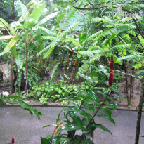 фото из отзыва ID 1008376