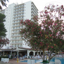 фото из отзыва ID 1008494