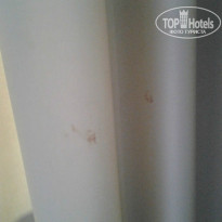 фото из отзыва ID 1008837