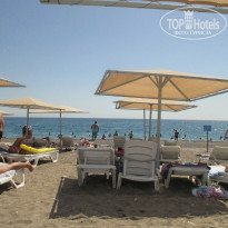 фото из отзыва ID 1008201