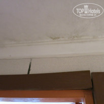 фото из отзыва ID 1008998