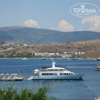 фото из отзыва ID 1008998