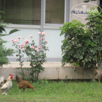 фото из отзыва ID 1005590