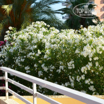 фото из отзыва ID 1009026