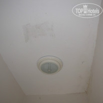 фото из отзыва ID 1009047