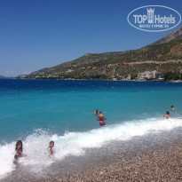 фото из отзыва ID 1009054