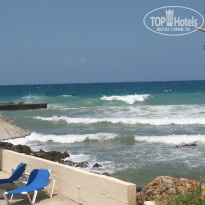 фото из отзыва ID 1009073