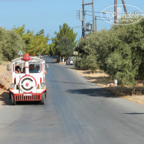 фото из отзыва ID 1009119