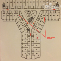 фото из отзыва ID 1009252