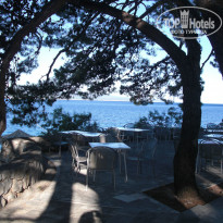 фото из отзыва ID 1009284