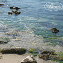 фото из отзыва ID 1008712