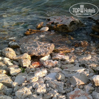 фото из отзыва ID 1008712