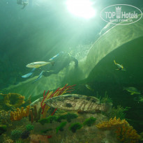 фото из отзыва ID 1009246