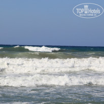 фото из отзыва ID 1008994