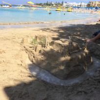 фото из отзыва ID 1009462