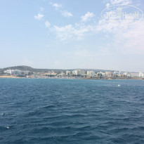 фото из отзыва ID 1009462