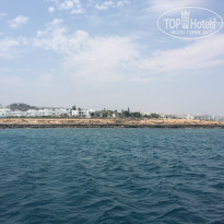 фото из отзыва ID 1009462