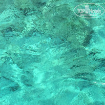 фото из отзыва ID 1009462