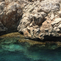 фото из отзыва ID 1009462