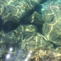 фото из отзыва ID 1009462