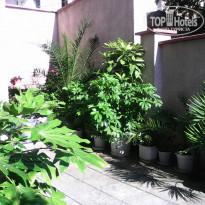 фото из отзыва ID 1009613