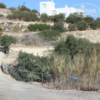 фото из отзыва ID 1006754