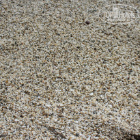 фото из отзыва ID 1006754