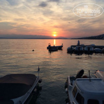 фото из отзыва ID 1007393