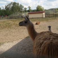 фото из отзыва ID 1006997