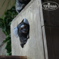 фото из отзыва ID 1006997