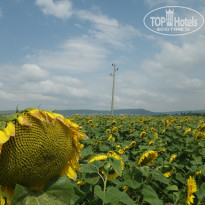 фото из отзыва ID 1008881