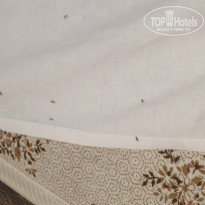 фото из отзыва ID 1002871