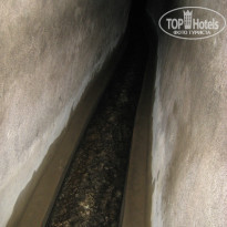 фото из отзыва ID 1006941