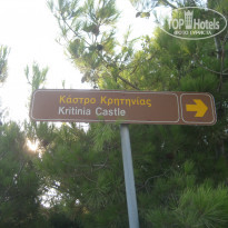 фото из отзыва ID 1006941