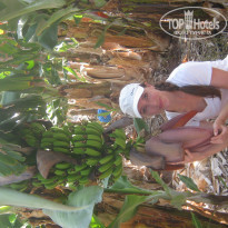 фото из отзыва ID 1001566