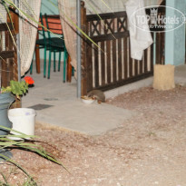 фото из отзыва ID 1001760