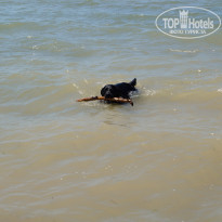 фото из отзыва ID 1001760