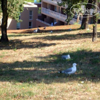 фото из отзыва ID 101001