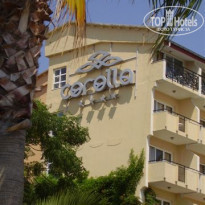 фото из отзыва ID 101030