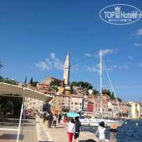 фото из отзыва ID 1010033