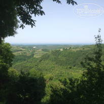 фото из отзыва ID 1010033