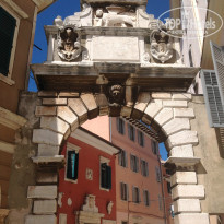 фото из отзыва ID 1010033