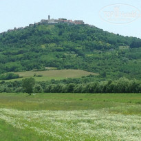 фото из отзыва ID 1010033