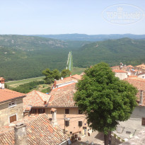 фото из отзыва ID 1010033