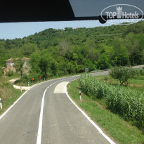 фото из отзыва ID 1010033