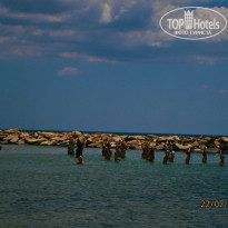 фото из отзыва ID 1010390