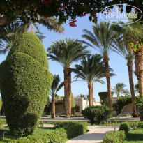 фото из отзыва ID 1010675