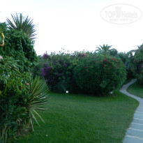 фото из отзыва ID 1010686